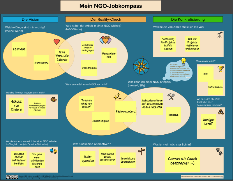 Beispiel einer ausgefüllten NGO-Job-Canvas